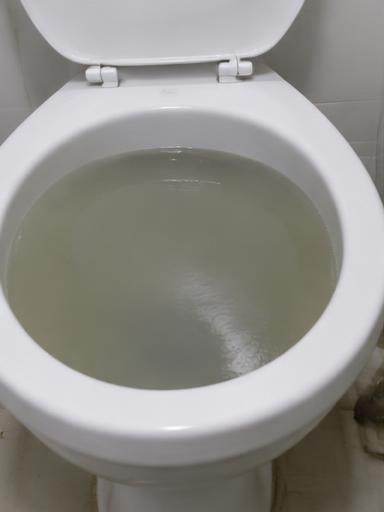 WC mampet